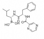 Bortezomib
