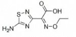 (Z)-2-(5-Amino-1,2,4-thiadiazol-3-yl)-2-ethoxyiminoacetic acid, Intermediates Of  Ceftaroline