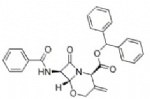 Oxacephem Nucleus （(2R,6R,7R)-7-(benzoylamino)-3-methylene-8-oxo-5-Oxa-1-azabicyclo[4.2.0]octane-2-carboxylic acid diphenylmethyl ester）, Intermediates Of  Latamoxef Sodium