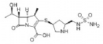 Doripenem